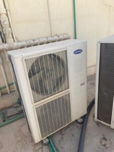 WhatsApp Image 2025-11-23 at 20.32.29_b0587d67